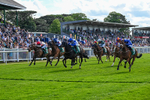 310526-Race 3-Al Hussar-8586