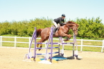 SBM_001181