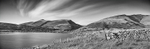Tewet Tarn