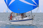 170701 MISTER RHINO GBR7381T RTI_2447