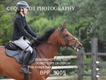 BPP_3005