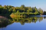 Białowieża, Poland