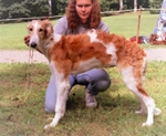 Puppy Tzarevna