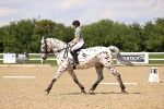 SBM_002047