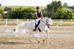 SBM_008237