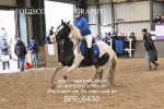 BPP_6430