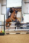 Class 20 - Senior Foxhunter 1.20m portfolio