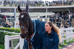 241025-Race 1-Classic King-7983