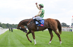 Race 4 15.35pm Sky Bet Ebor Handicap portfolio