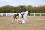 SBM_002648