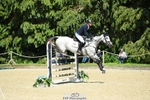 454-COOLEY_ROSALENT-Oliver_Townend-SJ portfolio