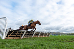 161125-Race 1-Astelia-2934
