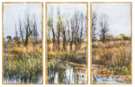 Gray Lodge Wildlife Area