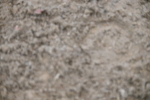 SBM_003022