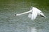 20120520-_MG_0033