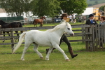 SBM_00507