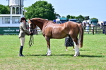 SBM_03908