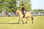 SBM_10653