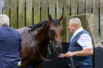 Race 2 2.25pm Tattersalls Acomb Stakes portfolio