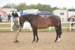 SBM_07899