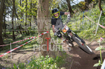 MTB 2017  Downhill Race-2-79
