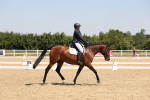SBM_004282