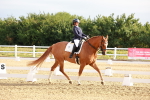 SBM_008065