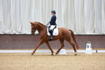 SBM_001004