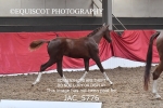 JAC_5776