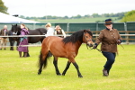 SBM_00271