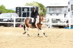 SBM_008158