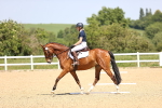 SBM_009014