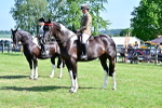 SBM_12189