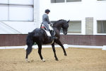 SBM_009538