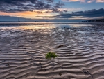 West Country portfolio