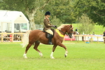 SBM_75007