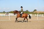 SBM_02242