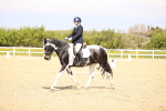 SBM_007958