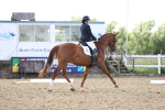 SBM_002447