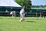 SBM_09392