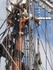 The Cutty Sark