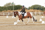SBM_001351