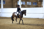 Class 5 - Novice 28 portfolio