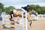 Class 21a&b Pony British Novice & 80 Open portfolio