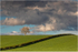 One Tree Hill (IMG1223)