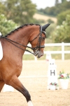 SBM_020067