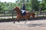 BPP_1900
