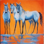 Greys SOLD