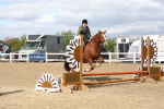 SBM_14760