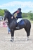BPP_5868